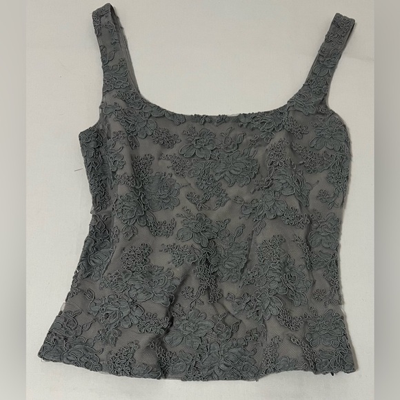 Monique Lhuillier Tops - Monique Lhuillier Gray Floral Lace Corset Tank Top Silk Lined 14